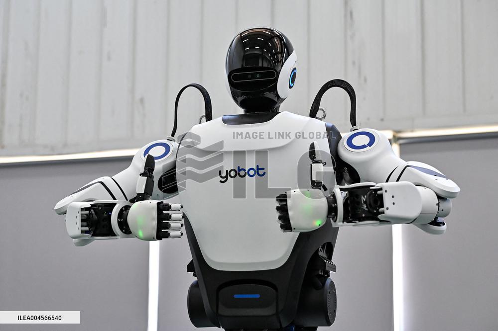 Robotics Industry - China