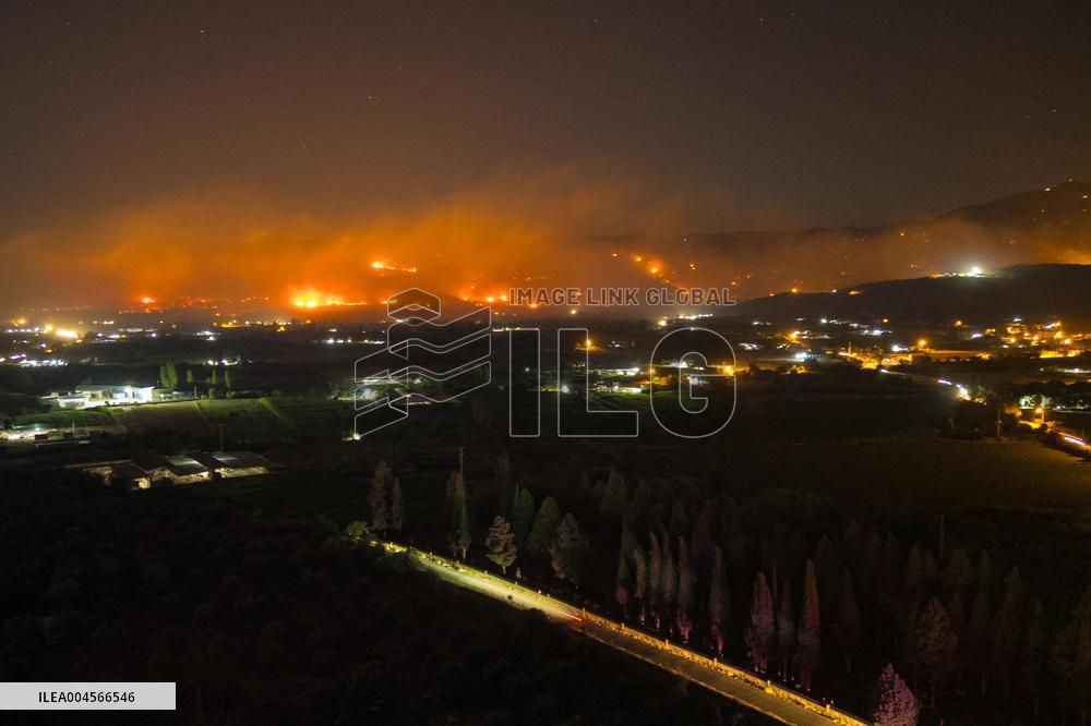Two Dead as Wildfires Rage Near Turkish Resort of Izmir