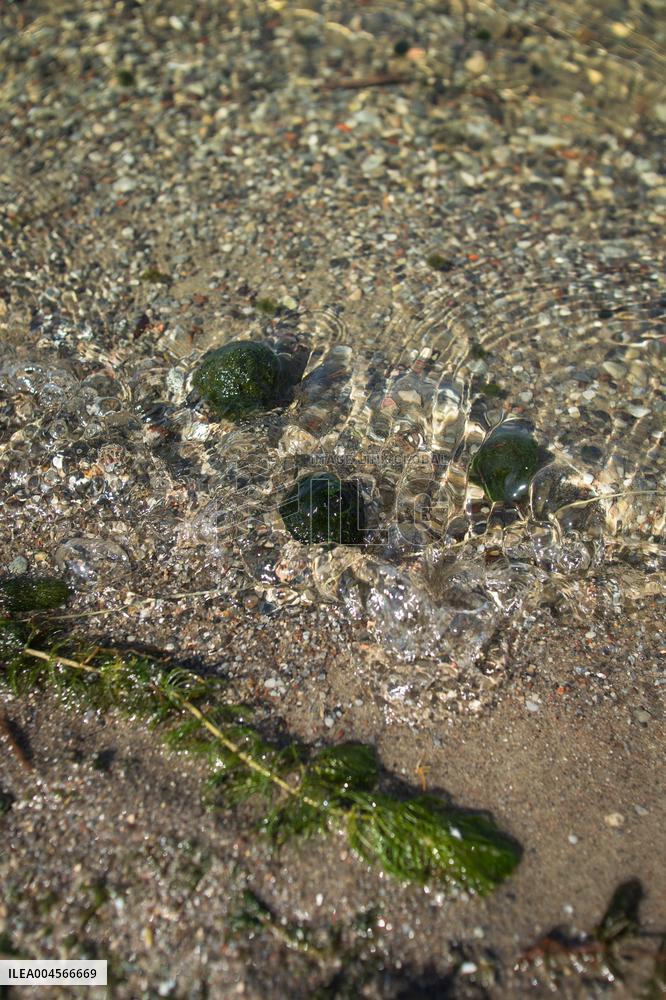 Lake balls