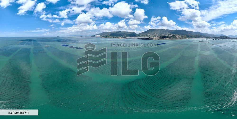 Aerial Views Of Intelligent Mariculture Platforms - China