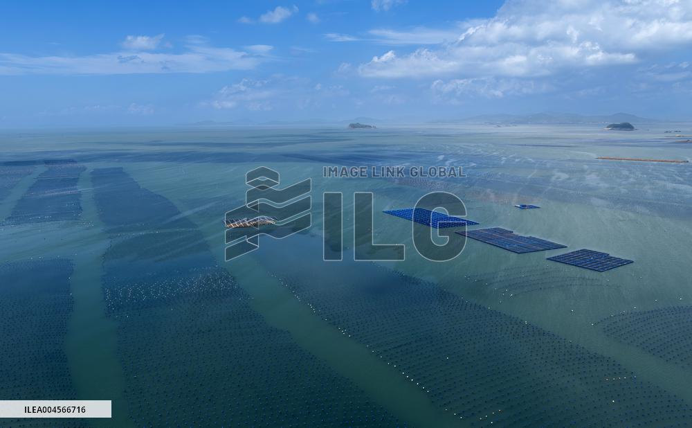 Aerial Views Of Intelligent Mariculture Platforms - China