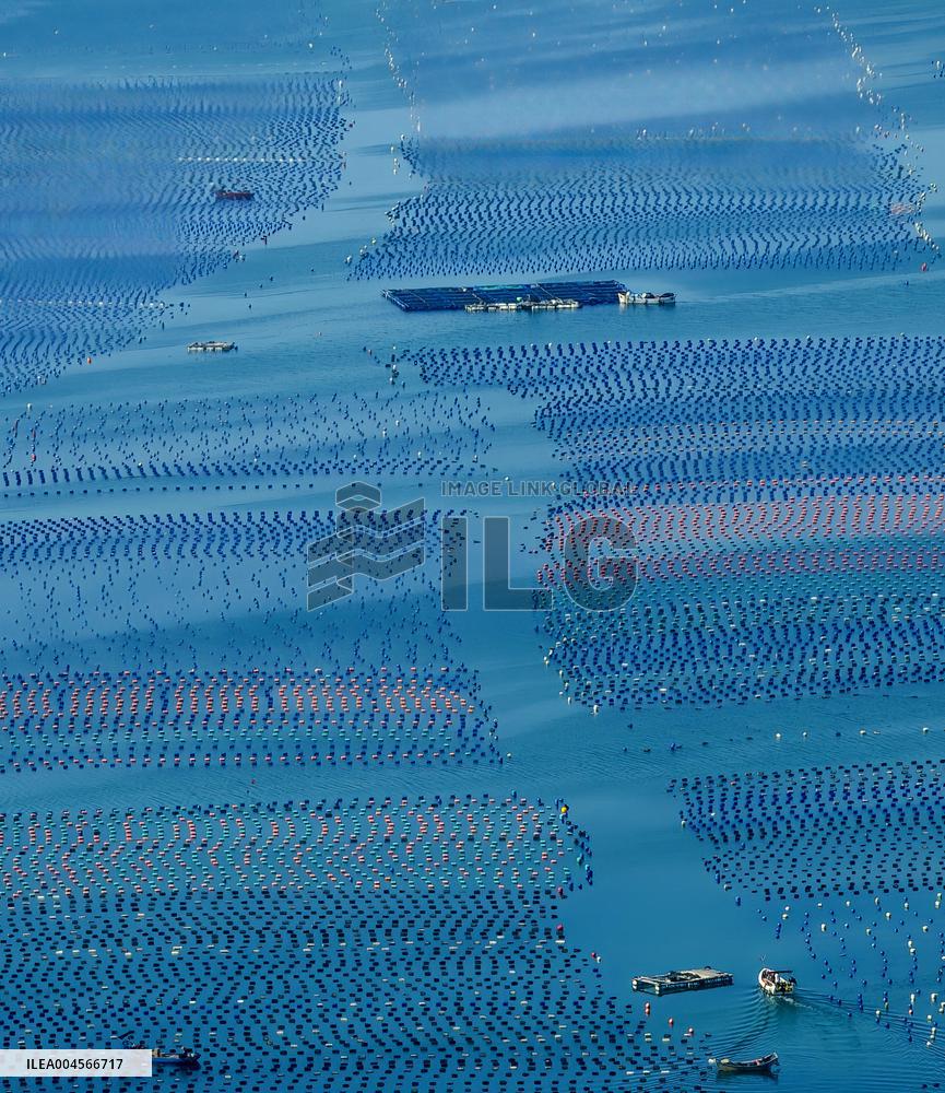 Aerial Views Of Intelligent Mariculture Platforms - China
