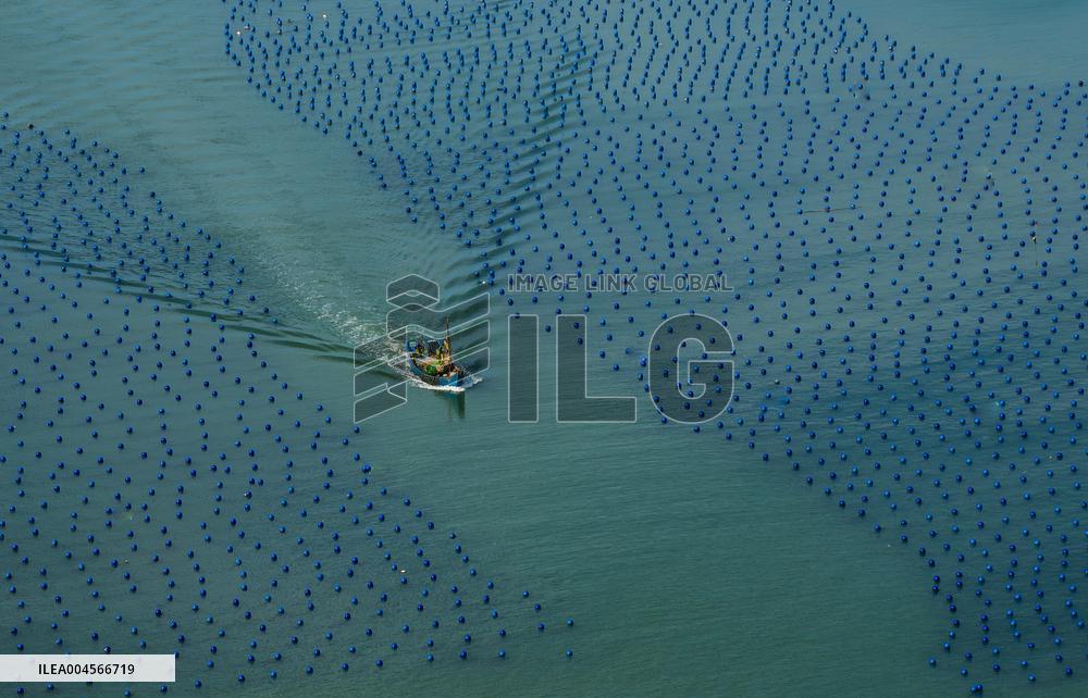 Aerial Views Of Intelligent Mariculture Platforms - China