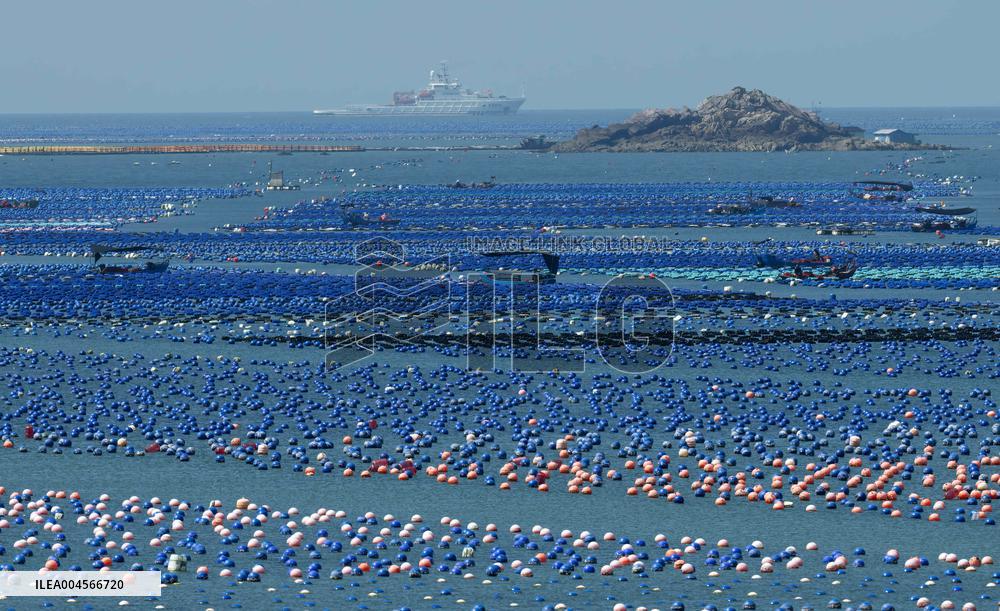 Aerial Views Of Intelligent Mariculture Platforms - China