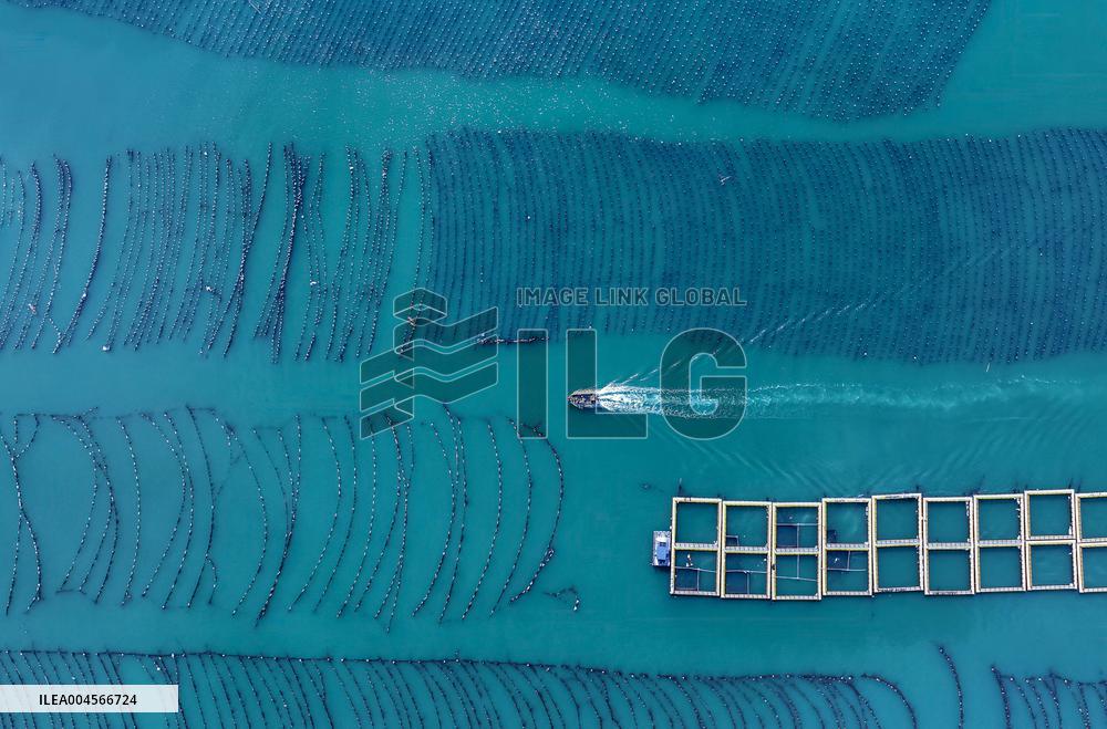 Aerial Views Of Intelligent Mariculture Platforms - China