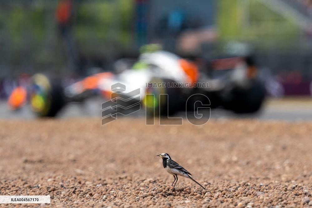 F1 British Grand Prix - UK