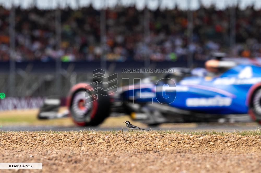 F1 British Grand Prix - UK