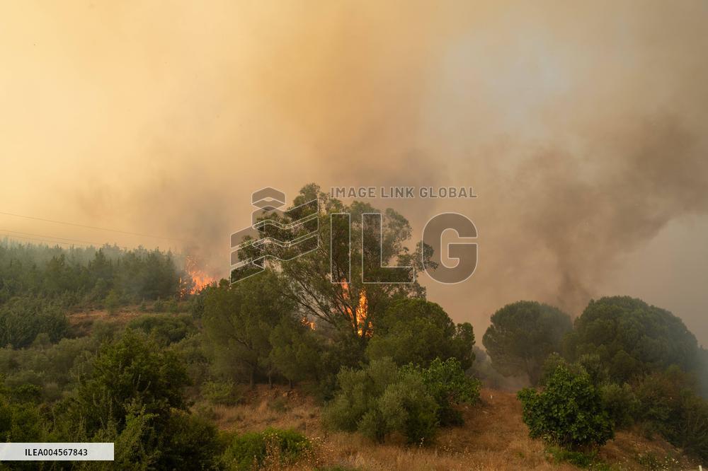 Izmir Wildfires - Turkey