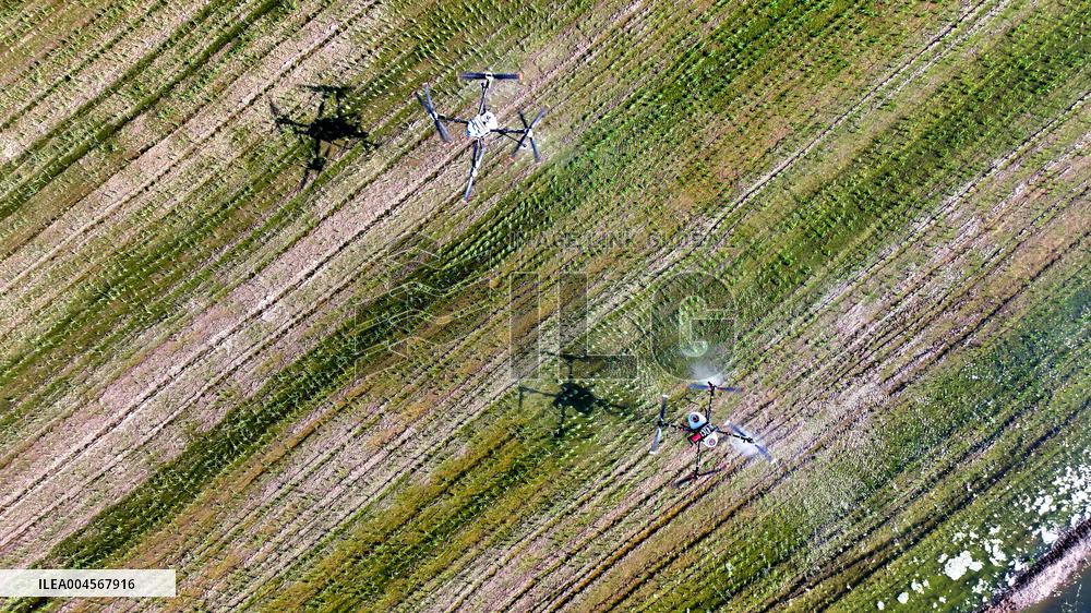 Agriculture Under High Temperatures