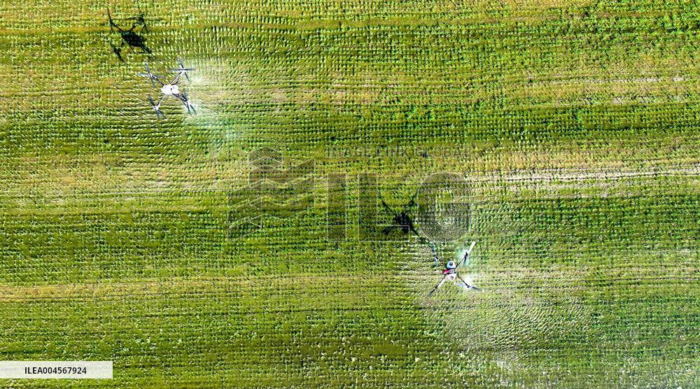 Agriculture Under High Temperatures