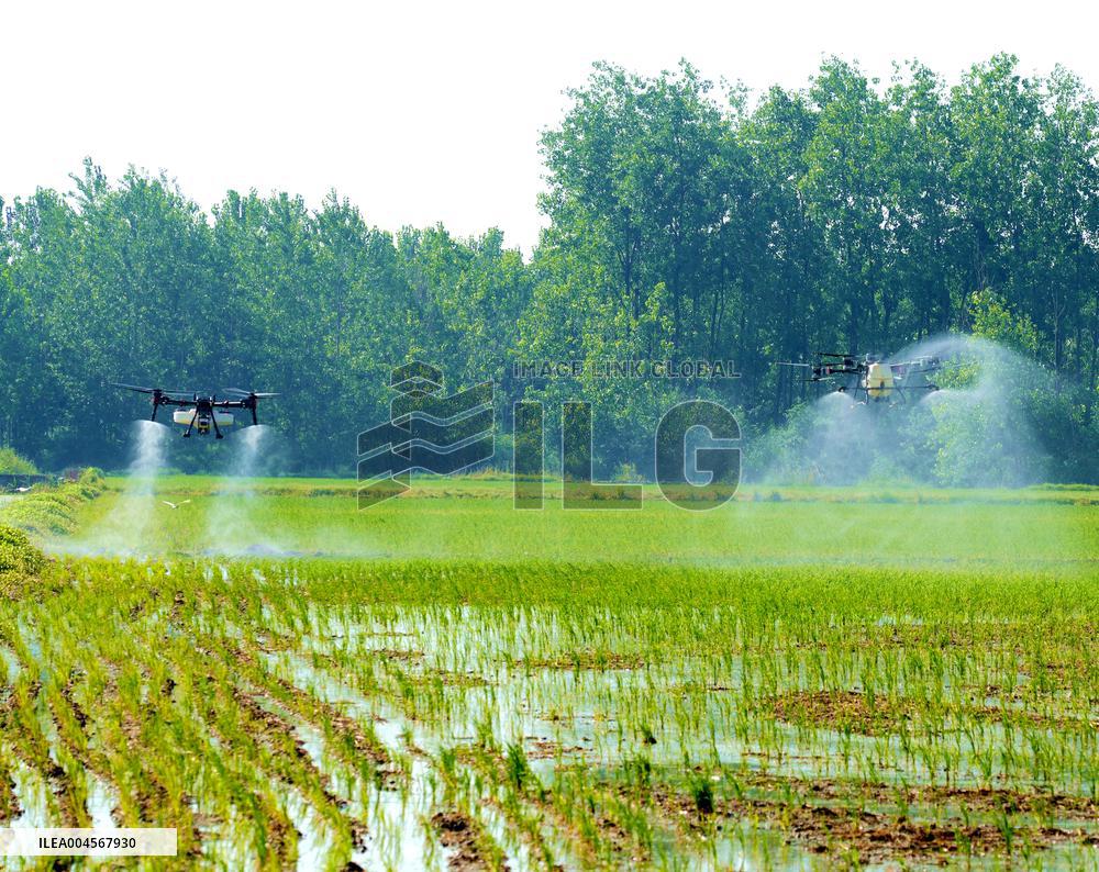 Agriculture Under High Temperatures