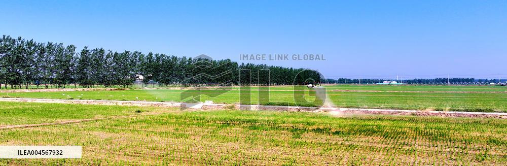 Agriculture Under High Temperatures