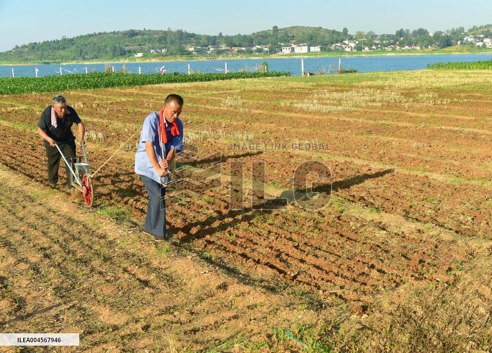 High temperature red warning