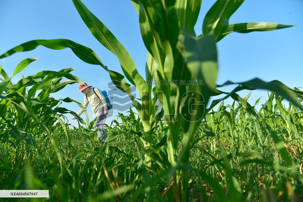 High temperature red warning