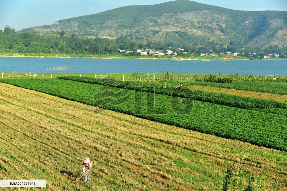 High temperature red warning