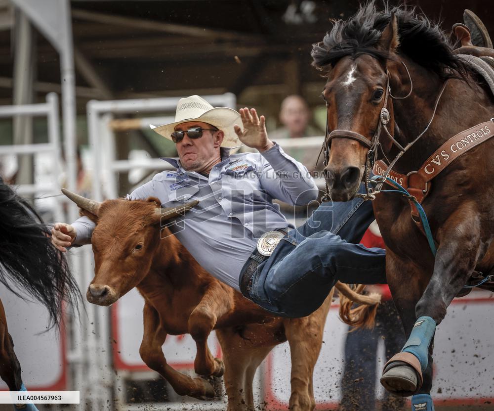 Bareback Rodeo Action At Calgary Stampede - Canada