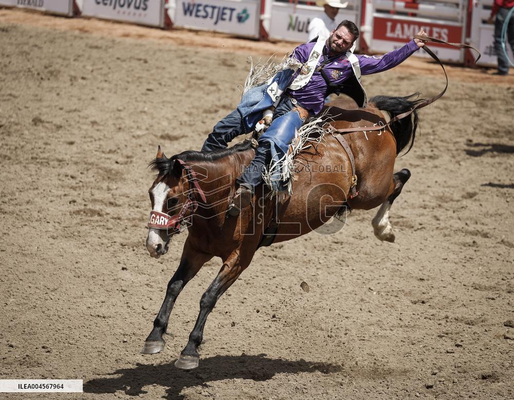 Bareback Rodeo Action At Calgary Stampede - Canada
