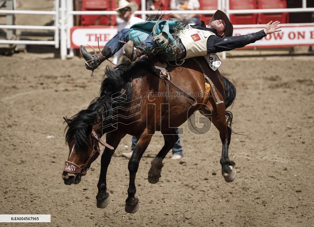 Bareback Rodeo Action At Calgary Stampede - Canada