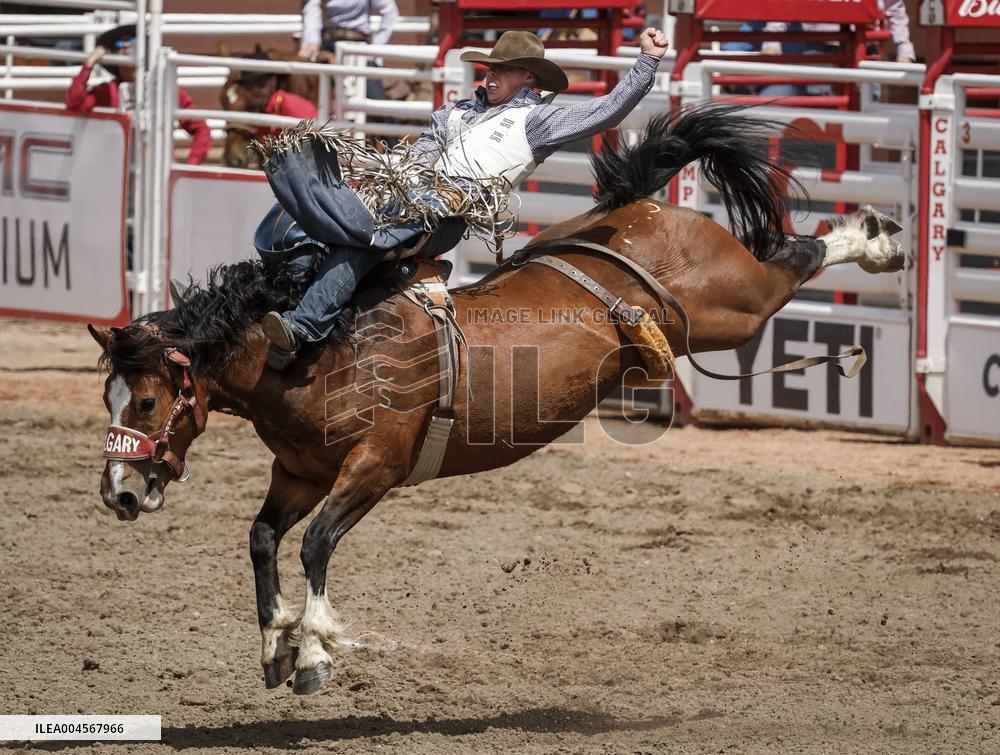 Bareback Rodeo Action At Calgary Stampede - Canada