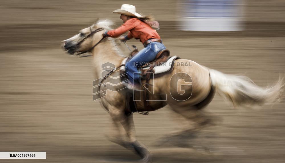 Bareback Rodeo Action At Calgary Stampede - Canada
