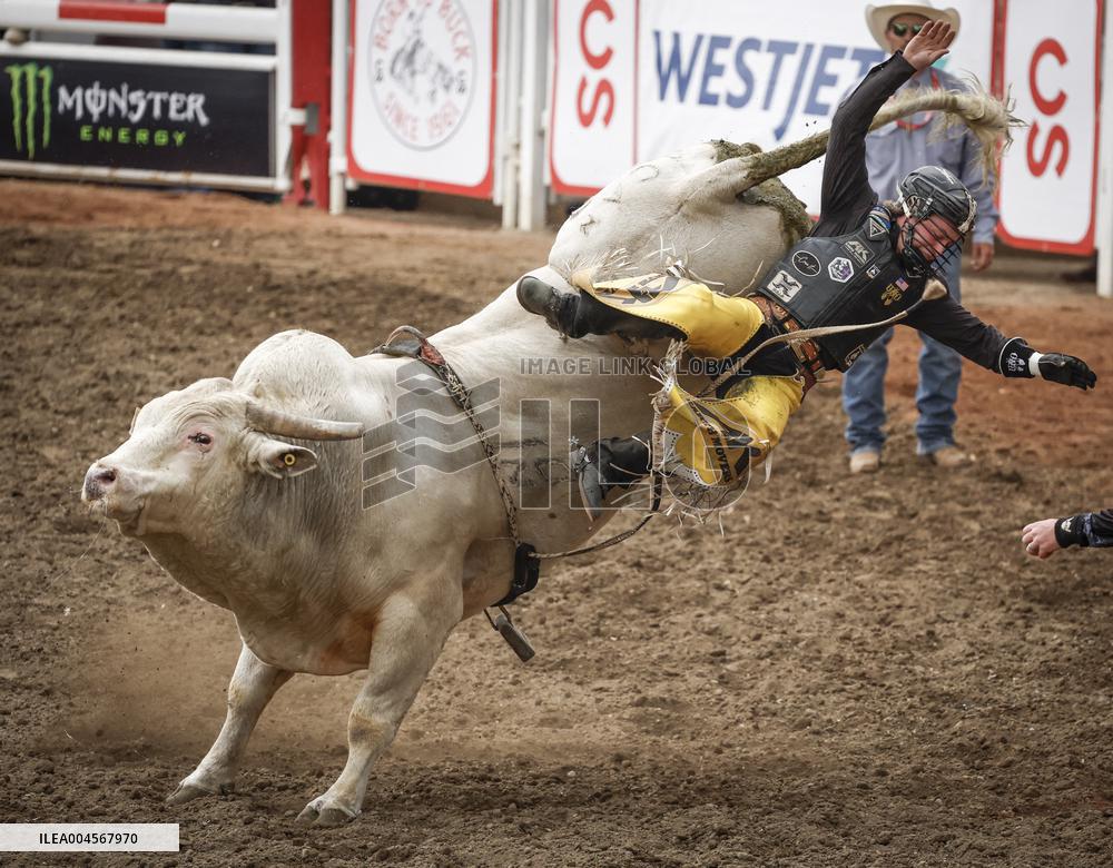 Bareback Rodeo Action At Calgary Stampede - Canada