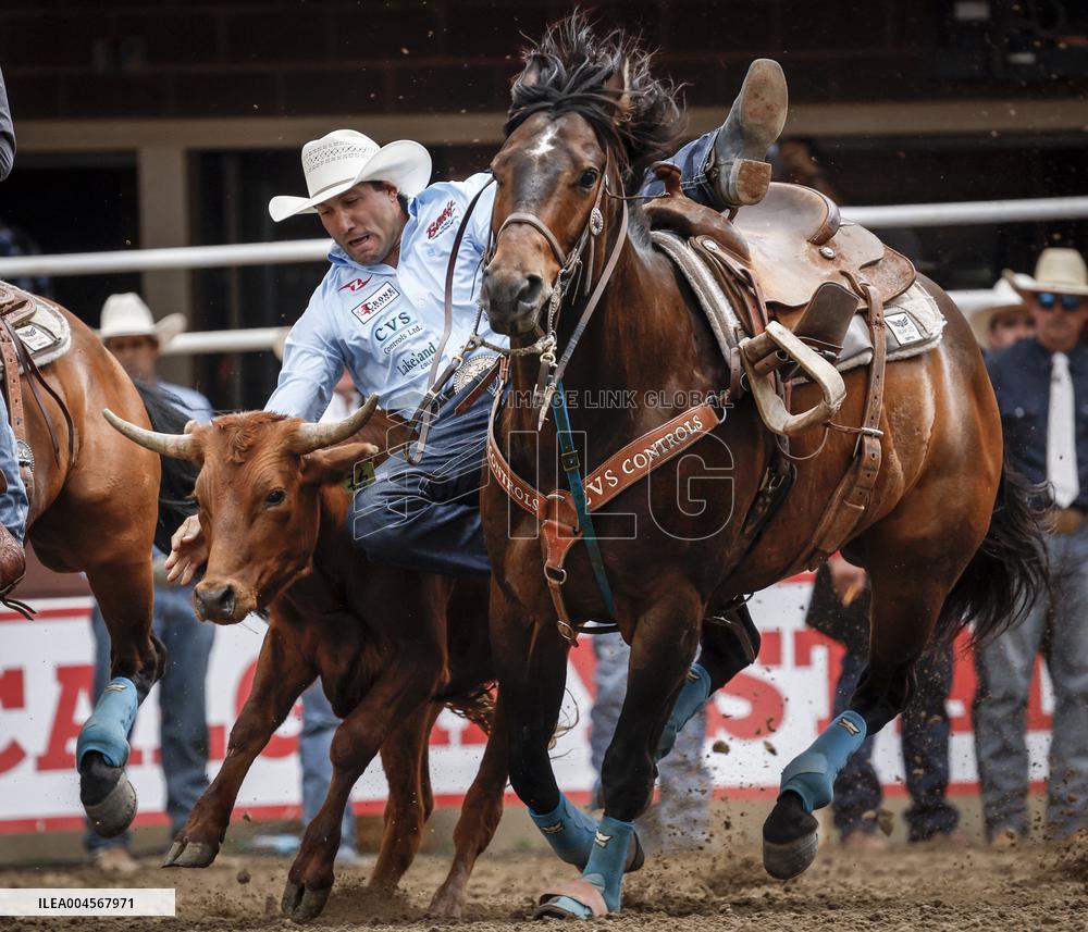 Bareback Rodeo Action At Calgary Stampede - Canada