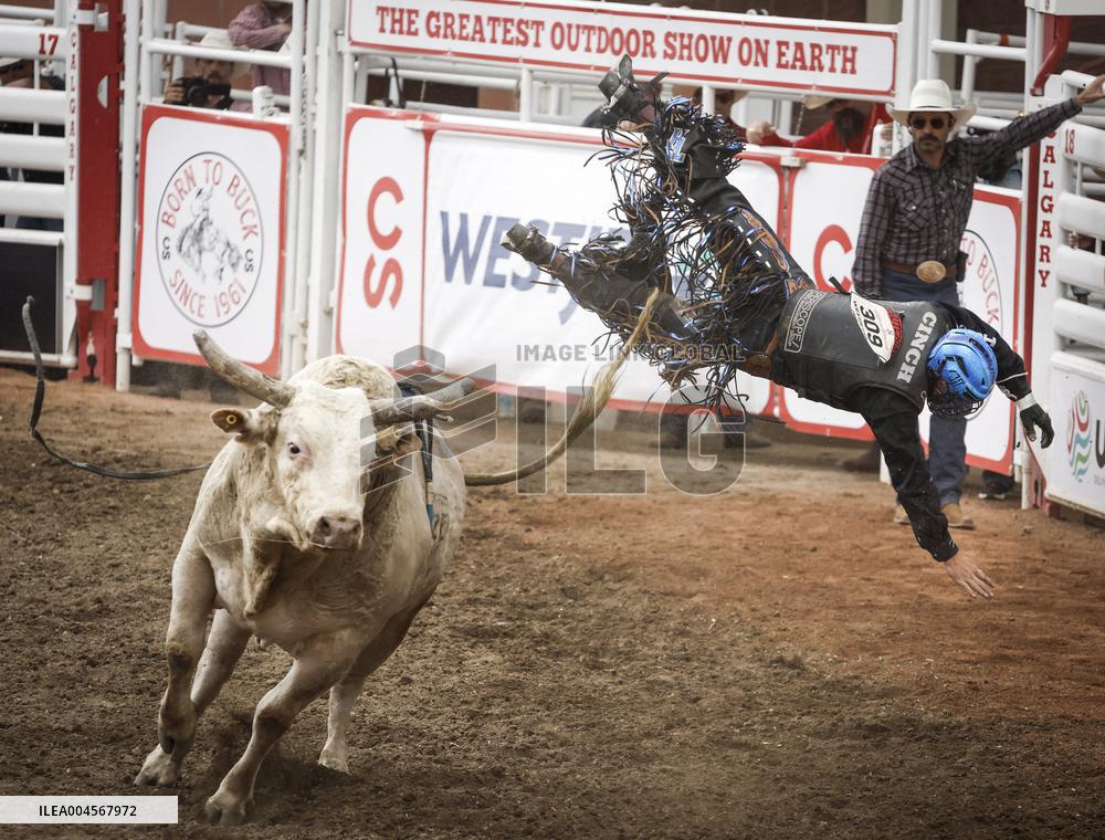 Bareback Rodeo Action At Calgary Stampede - Canada