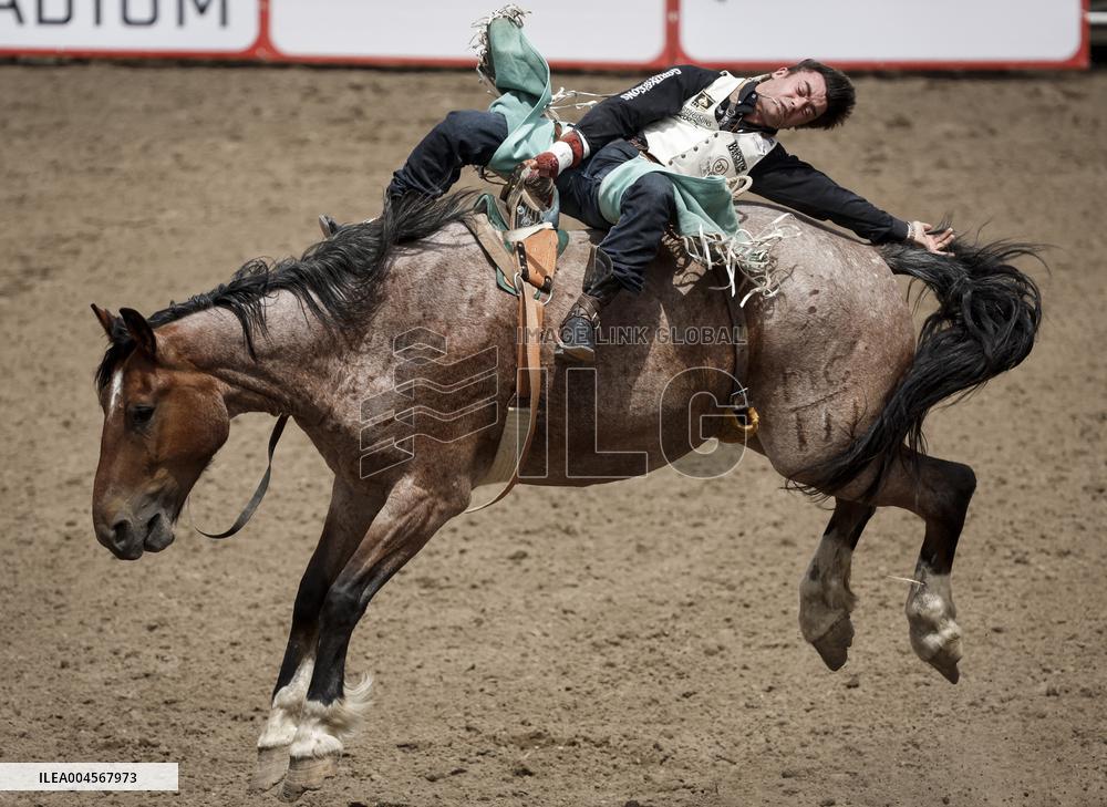 Bareback Rodeo Action At Calgary Stampede - Canada