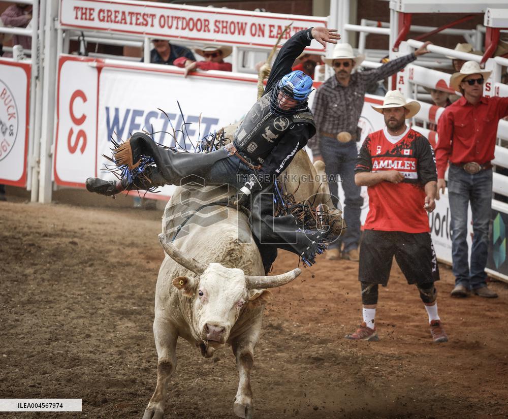 Bareback Rodeo Action At Calgary Stampede - Canada