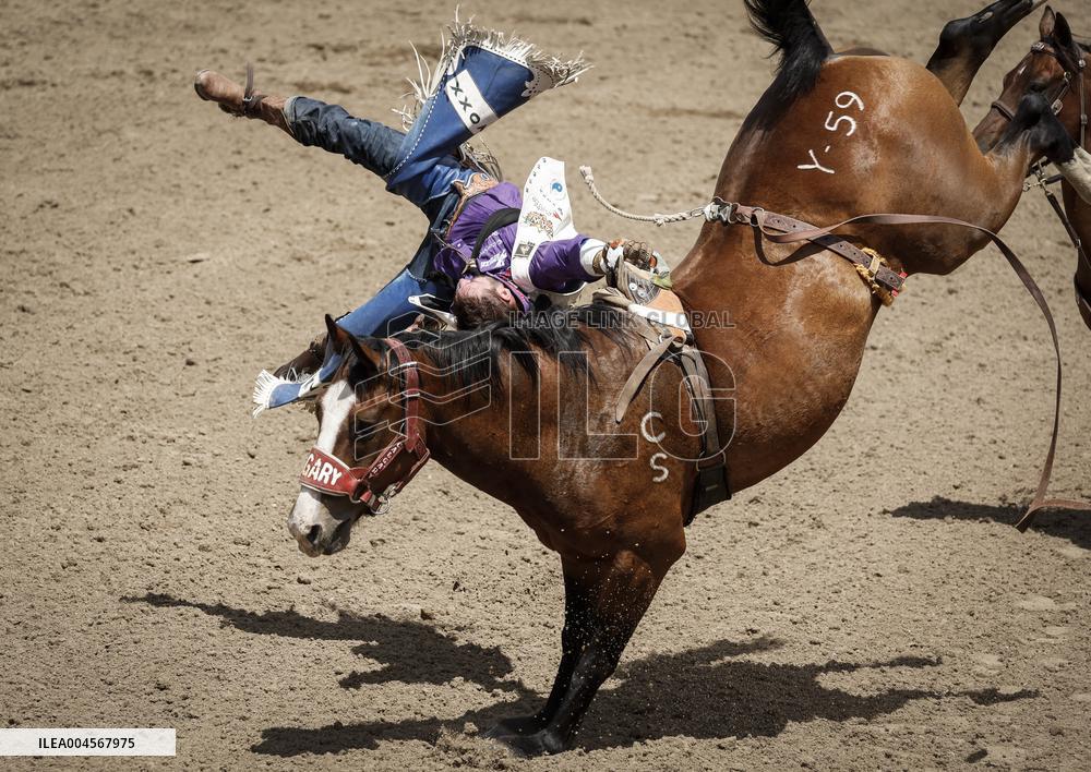 Bareback Rodeo Action At Calgary Stampede - Canada