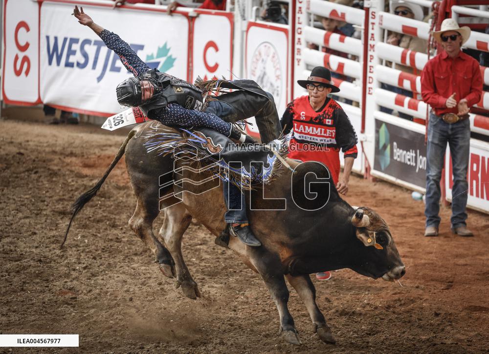 Bareback Rodeo Action At Calgary Stampede - Canada