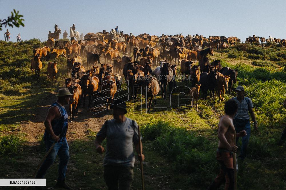 A Rapa Das Bestas 2025 - Spain