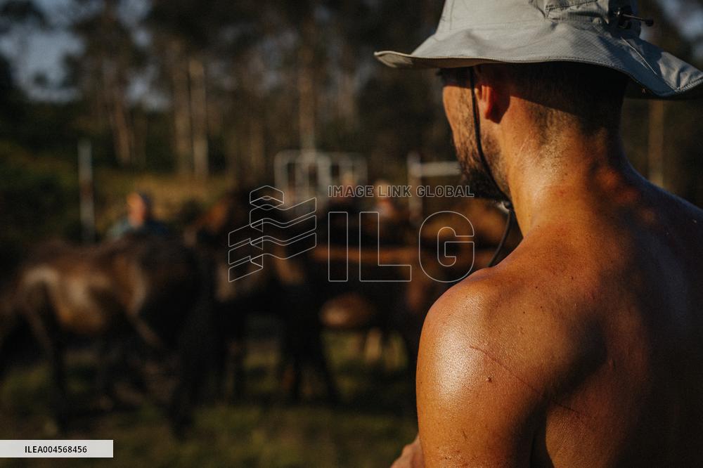 A Rapa Das Bestas 2025 - Spain