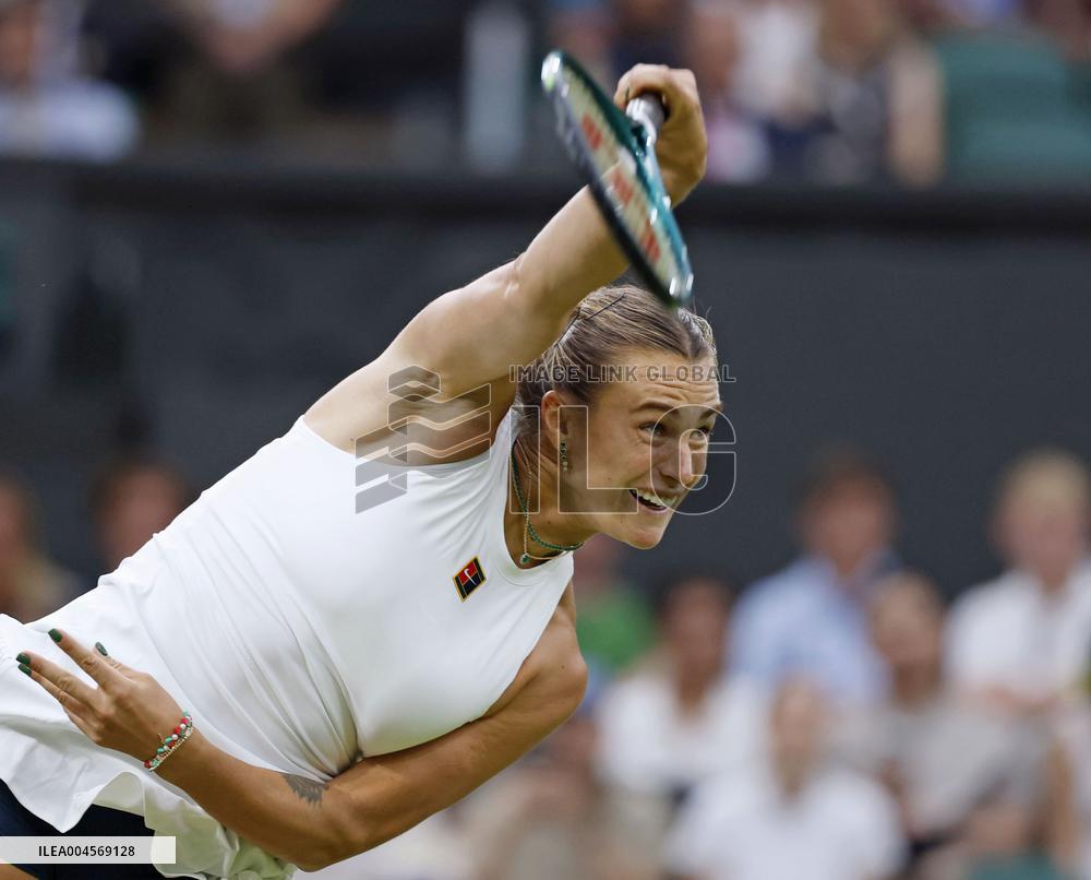 Tennis: Wimbledon championships