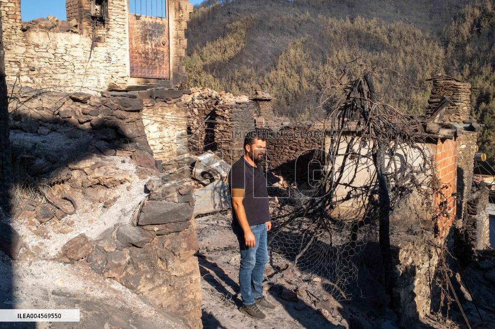 Izmir Wildfire - Turkey