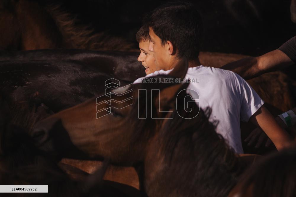 Rapa Das Bestas 2025 - Spain