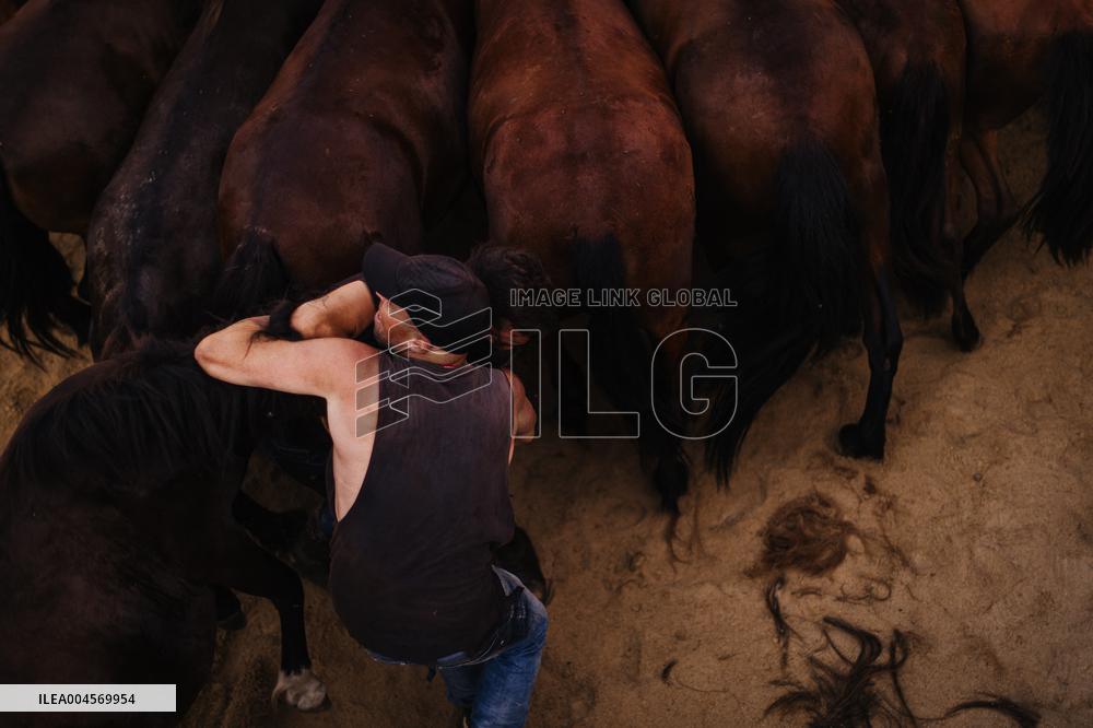 Rapa Das Bestas 2025 - Spain