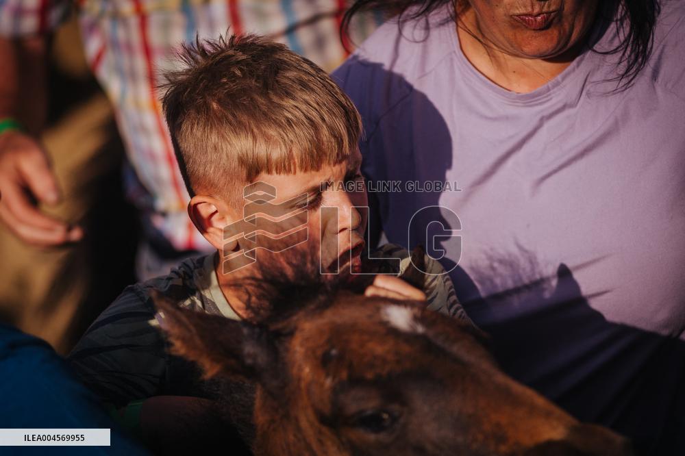 Rapa Das Bestas 2025 - Spain