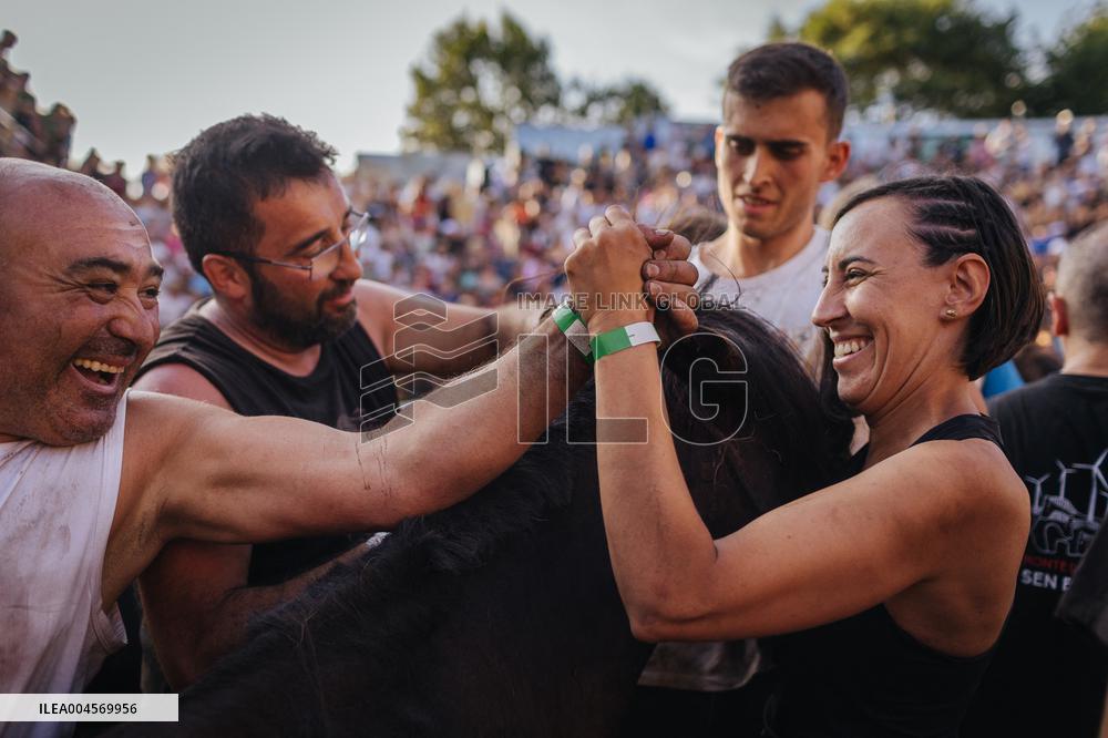 Rapa Das Bestas 2025 - Spain