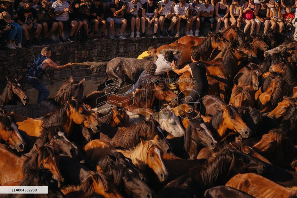 Rapa Das Bestas 2025 - Spain