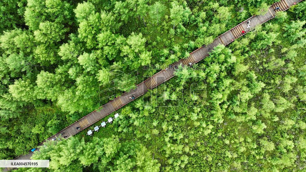 Illustration - Summer Vacation