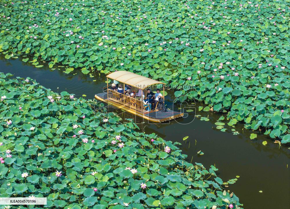 Illustration - Summer Vacation