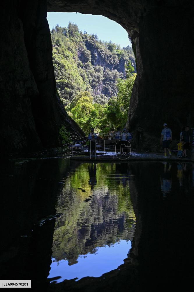 Illustration - Summer Vacation