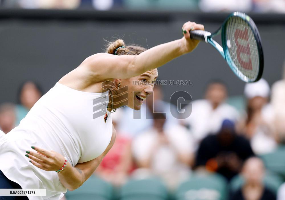Tennis: Wimbledon championships