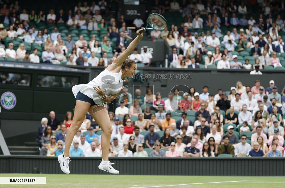 Tennis: Wimbledon championships