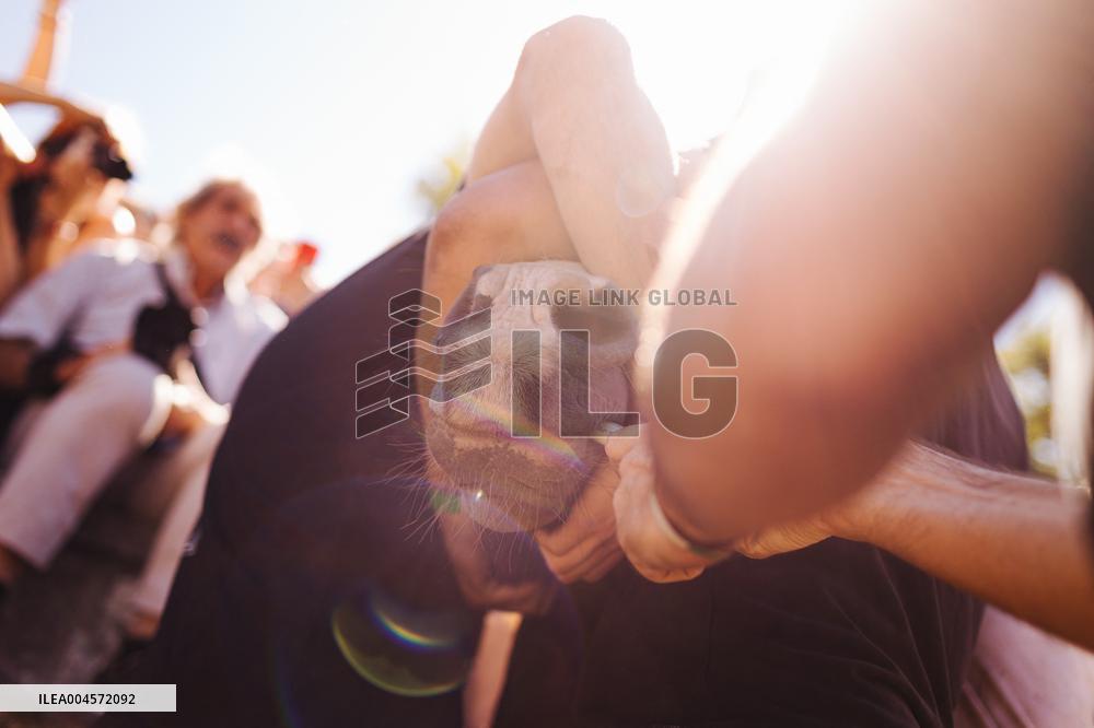 Third Day of A Rapa Das Bestas 2025 - Spain