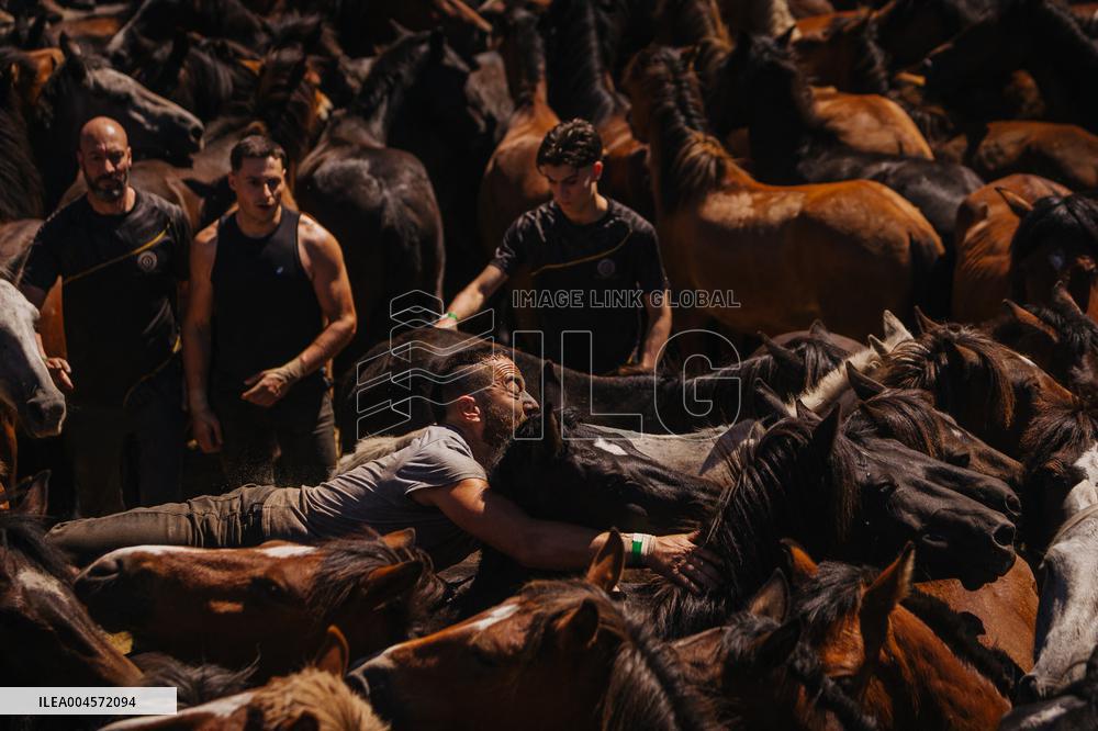 Third Day of A Rapa Das Bestas 2025 - Spain