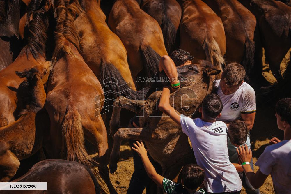 Third Day of A Rapa Das Bestas 2025 - Spain
