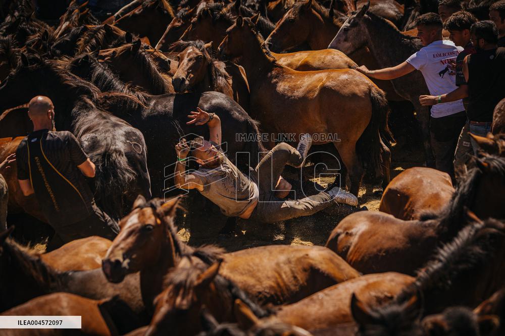 Third Day of A Rapa Das Bestas 2025 - Spain