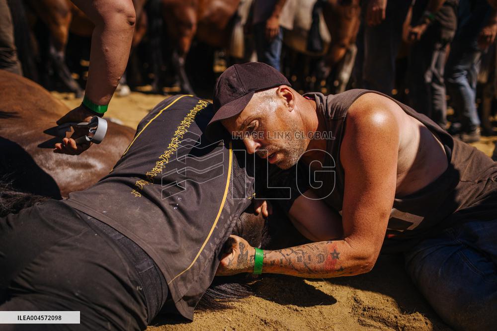 Third Day of A Rapa Das Bestas 2025 - Spain